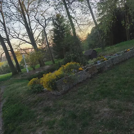 Гостьовий будинок Zielone Wzgorze 3*