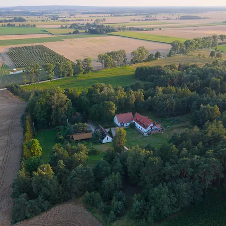 Zielone Wzgorze